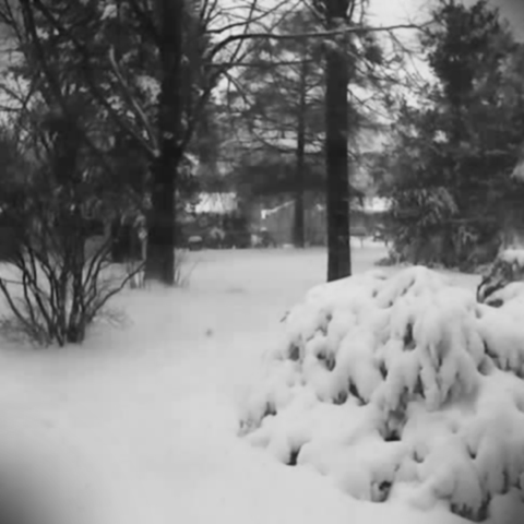 20061201131524_snowstorm.jpg