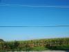 Rural Skies