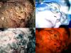 Elements