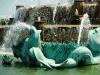 Seahorses
