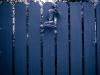 Hey. Kid. Open the gate.