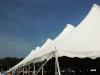 Under the bigtop