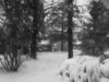 The blizzard of aught-six.