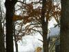 Happy Holidays 2007